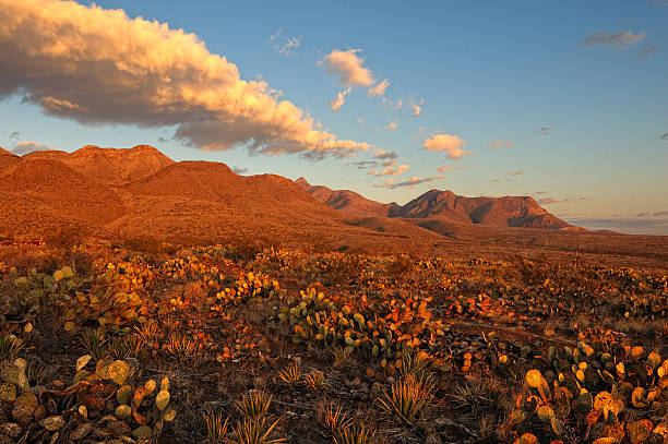 Franklin Mountains, El Paso